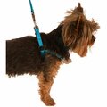 Fanciercriador Adjustable Harness, Royal Blue - Extra Small - 11-14 in. FA3006905